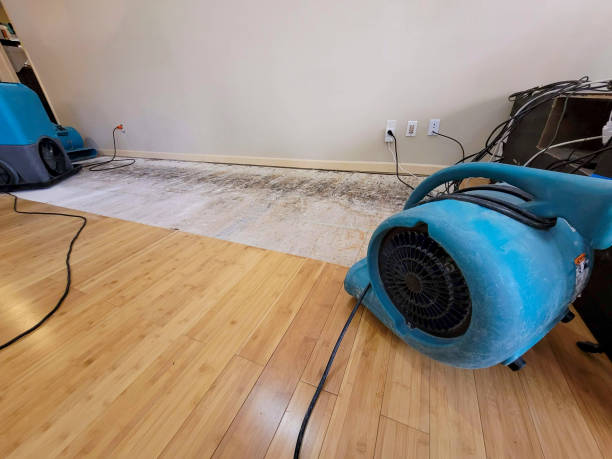 Professional Burst Pipe Water Damage technician working in Cascade, WI